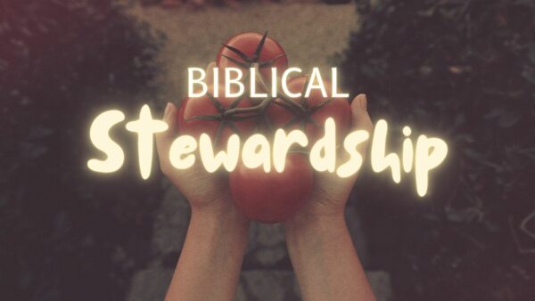 Biblical Stewardship Image